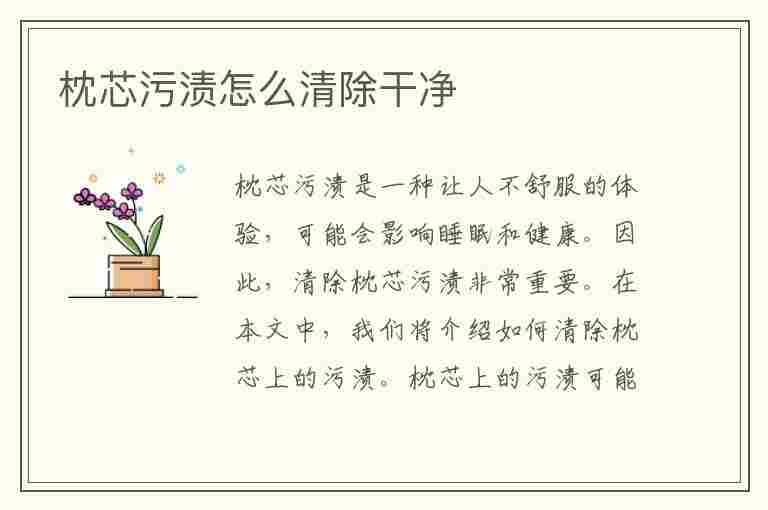 枕芯污渍怎么清除干净(枕芯污渍怎么清除干净小妙招)